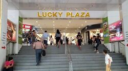Lucky Plaza (D9), Shop House #618750621